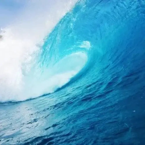 Surf Fragrance Oil - The Fragrance Room