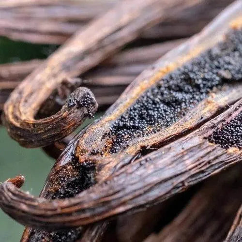 Vanilla Pod Natural Fragrance Oil - The Fragrance Room