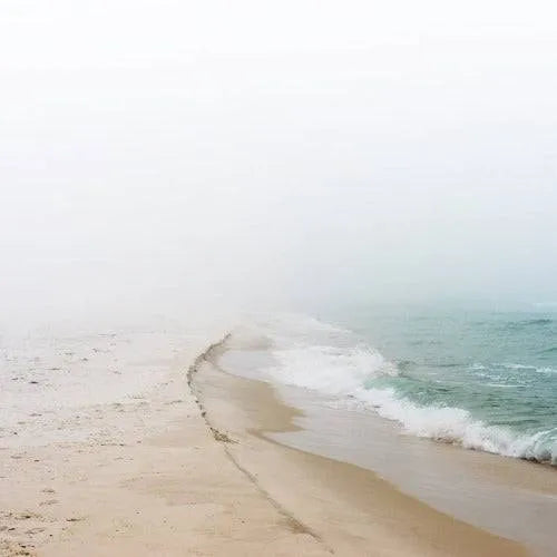 Ocean Mist Fragrance Oil - The Fragrance Room