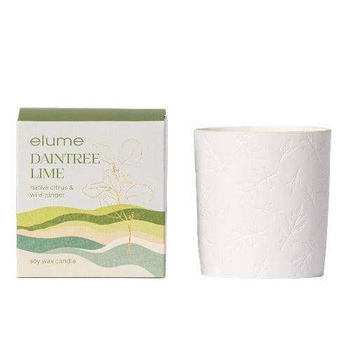 Daintree Lime Soy Candle - The Fragrance Room