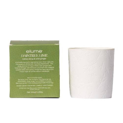 Daintree Lime Soy Candle - The Fragrance Room