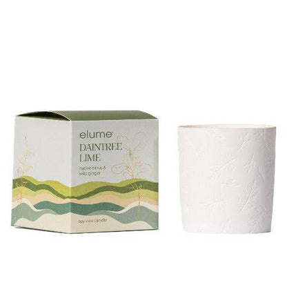 Daintree Lime Soy Candle - The Fragrance Room