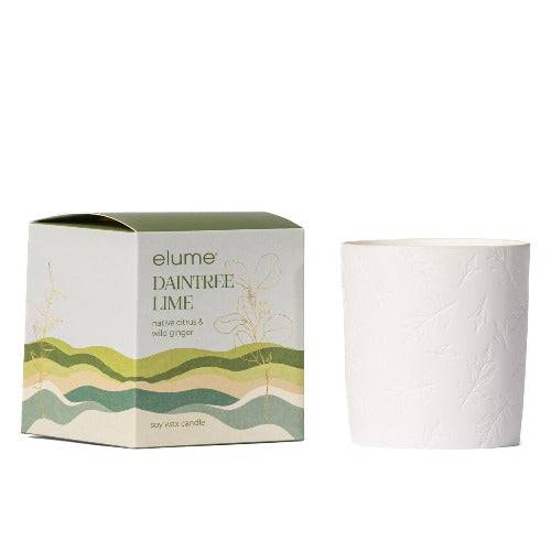 Daintree Lime Soy Candle - The Fragrance Room