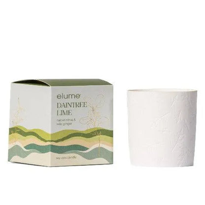 Daintree Lime Soy Candle - The Fragrance Room