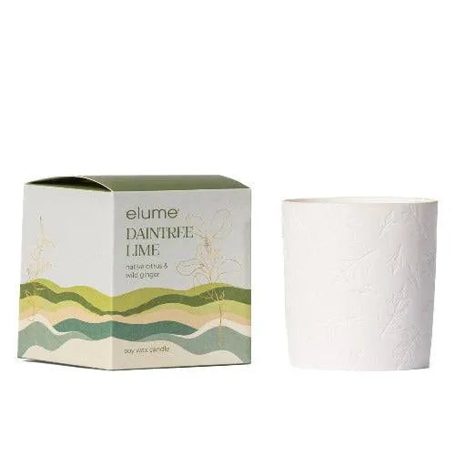 Daintree Lime Soy Candle - The Fragrance Room