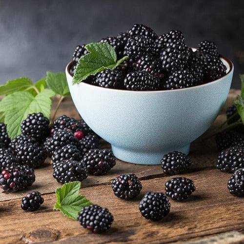Ripened Blackberry Fragrance Oil - The Fragrance Room