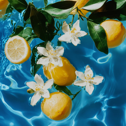 Imagination Type Fragrance Oil