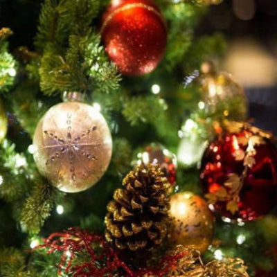 Trim The Tree Fragrance Oil