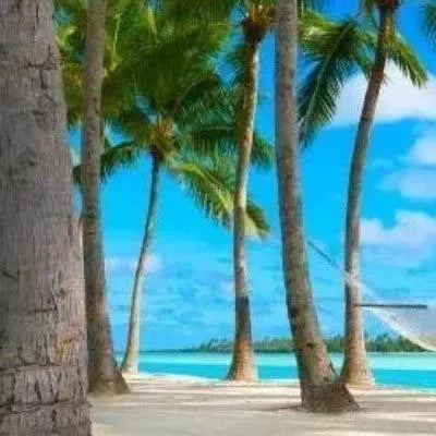 Aloha Fragrance Oil - The Fragrance Room