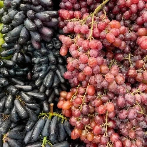 Amazonian Grape Diffuser Oil Refill