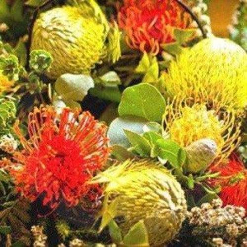 Australian Florals & Honey Fragrance Oil - The Fragrance Room