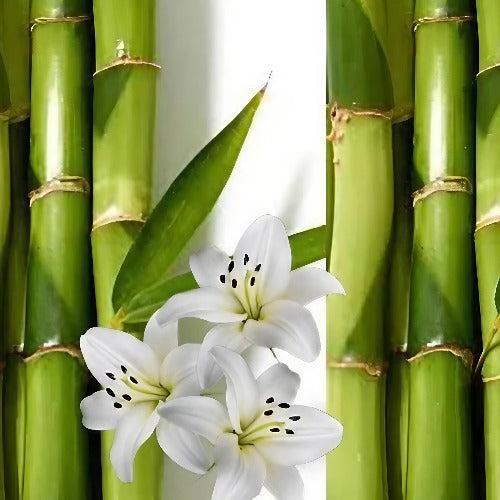Bamboo & White Lily Fragrance Oil - The Fragrance Room