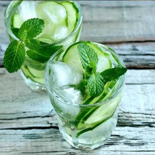 Basil & Cucumber Fragrance Oil - The Fragrance Room