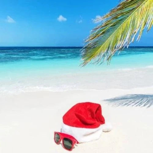 Beach Side Christmas Fragrance Oil - The Fragrance Room