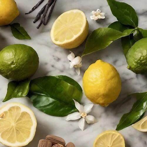 Bergamot & Jasmine Fragrance Oil - The Fragrance Room