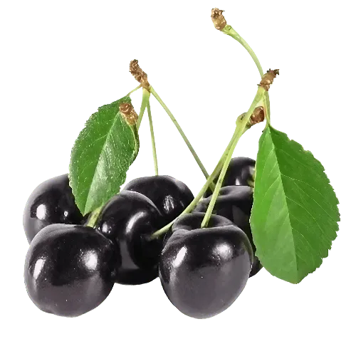 Black Cherry Fragrance Oil - The Fragrance Room