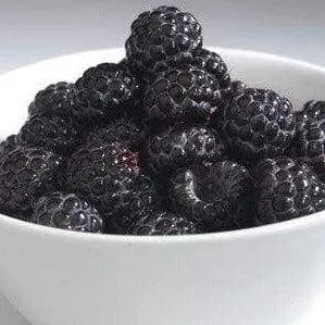 Black Raspberry Sugar Diffuser Oil Refill - The Fragrance Room