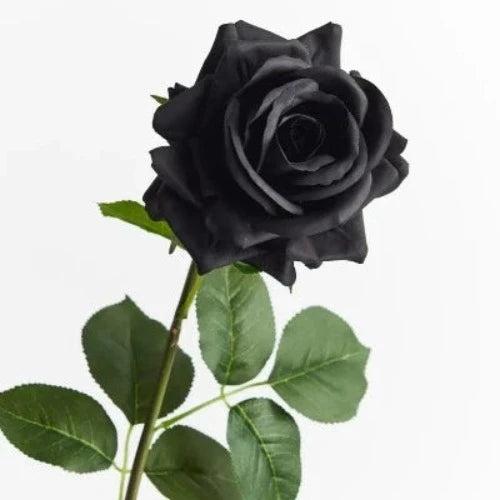 Black Rose & Oud Fragrance Oil - The Fragrance Room