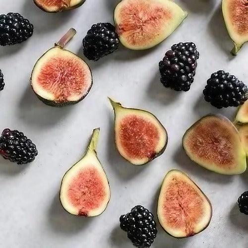 Blackberry Fig Diffuser Oil Refills - The Fragrance Room