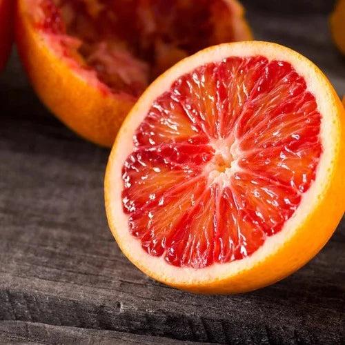 Blood Orange Fragrance Oil - The Fragrance Room