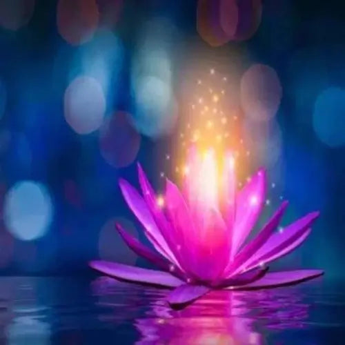 Camellia & Pink Lotus Fragrance Oil - The Fragrance Room