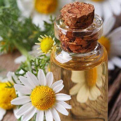 Chamomile & Amber Fragrance Oil - The Fragrance Room