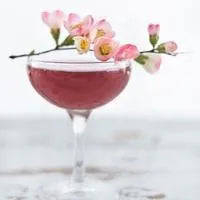 Cherry Blossom Sangria Diffuser Oil Refill - The Fragrance Room