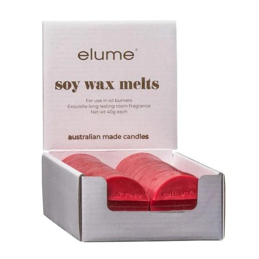 Cinnamon Spice & Berries Soy Wax Melts - The Fragrance Room