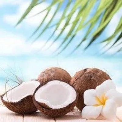 Coconut & Frangipani Fragrance Oil - The Fragrance Room