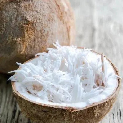 Driftwood & Coconut Fragrance Oil - The Fragrance Room