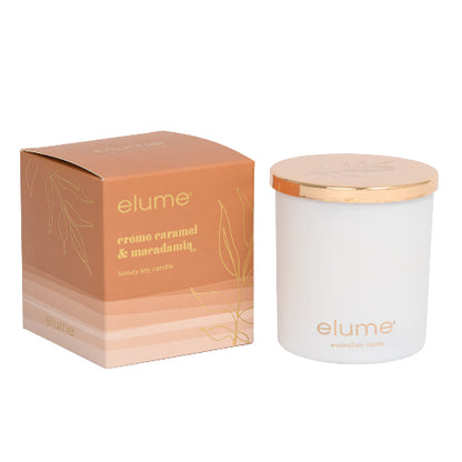 Creme Caramel & Macadamia Soy Candle 400g