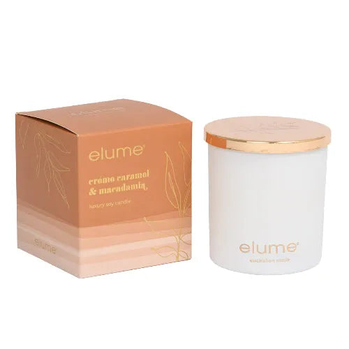 Creme Caramel & Macadamia Soy Candle 400g
