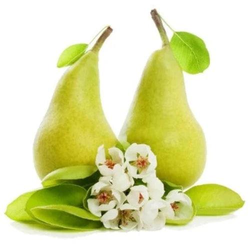 English Pear & Freesia Type Fragrance Oil - The Fragrance Room