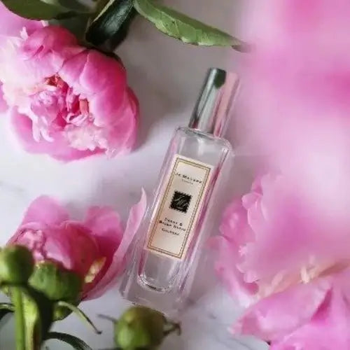 Peony & Blush Suede Type Fragrance Oil - The Fragrance Room