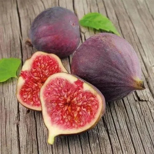 Fig & Cashmere Fragrance Oil - The Fragrance Room