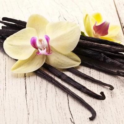 Flower Type Vanilla Cashmere Fragrance Oil - The Fragrance Room