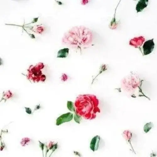 Fresh Cut Roses Type Fragrance Oil - The Fragrance Room