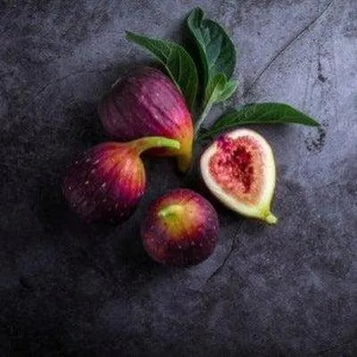 Fresh Fig Fragrance Oil - The Fragrance Room