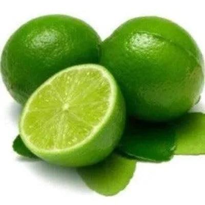 Fresh Lime Fragrance Oil - The Fragrance Room