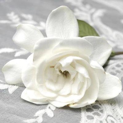 Gardenia Fragrance Oil - The Fragrance Room