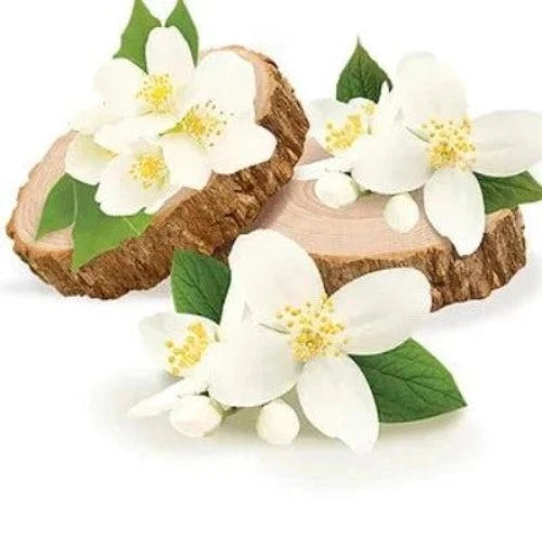 Jasmine & Sandalwood Fragrance Oil - The Fragrance Room