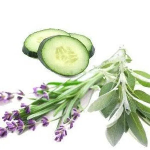 Lavender Cucumber & Sage Diffuser Refill - The Fragrance Room