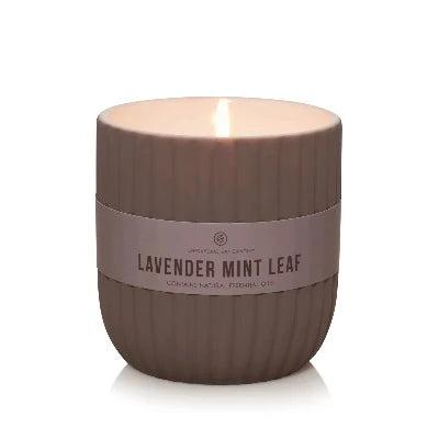 Lavender Mint 286g Minimalist Candle Jar - The Fragrance Room