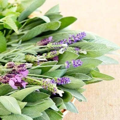 Lavender Sage Fragrance Oil - The Fragrance Room