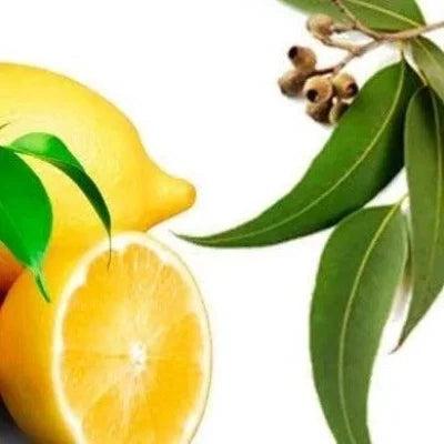 Lemon Eucalyptus Diffuser Oil Refill - The Fragrance Room