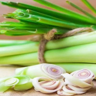 Lemongrass Fragrance Oil - The Fragrance Room