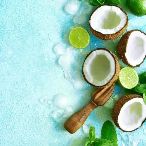 Lime & Coconut Fragrance Oil - The Fragrance Room