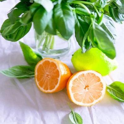 Lime Basil & Mandarin Diffuser Oil Refill - The Fragrance Room