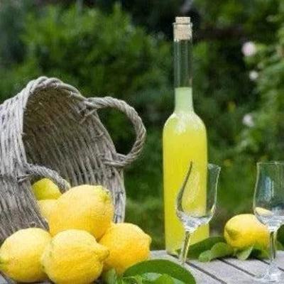 Limoncello Diffuser Refill - The Fragrance Room