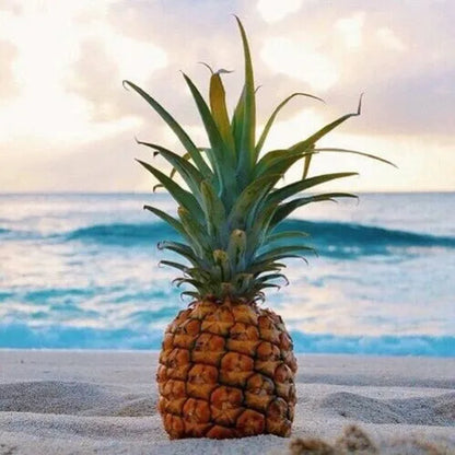 Pineapple Driftwood Fragrance Oil - The Fragrance Room
